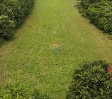 Istra, Bale - poljoprivredno zemljište 8400 m2 - cover