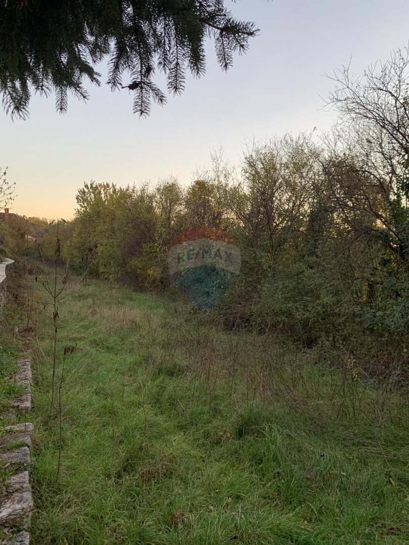 Fotografija