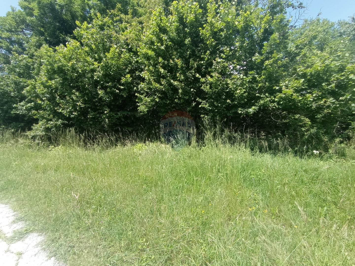 Fotografija