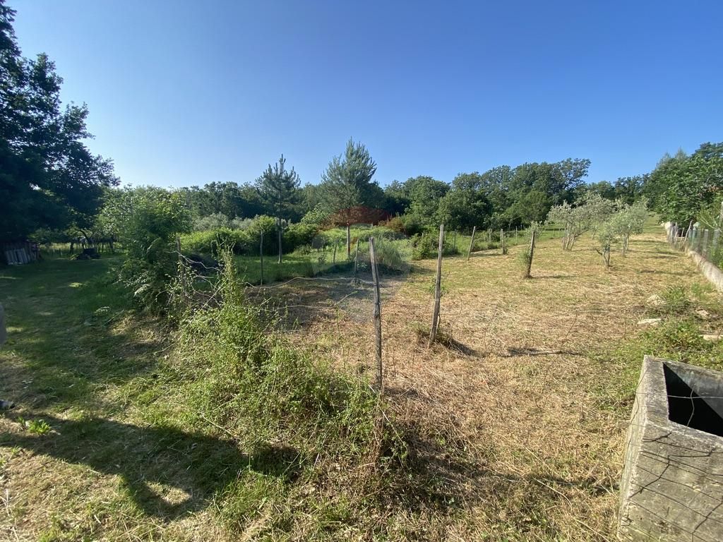 Fotografija