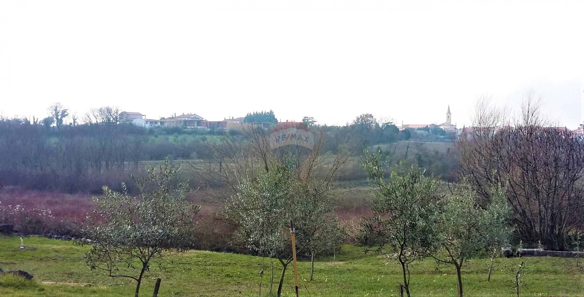 Fotografija