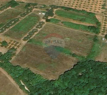 TAR-poljoprivredno zemljište 6311 m2 - cover