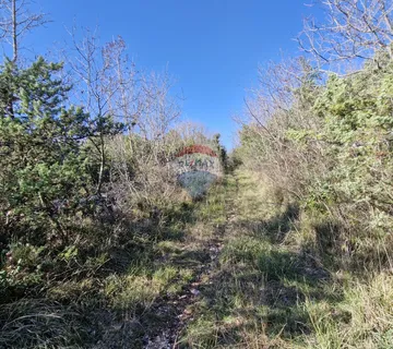 Istra, Rakalj- poljoprivredno zemljište 5523 m2 - cover