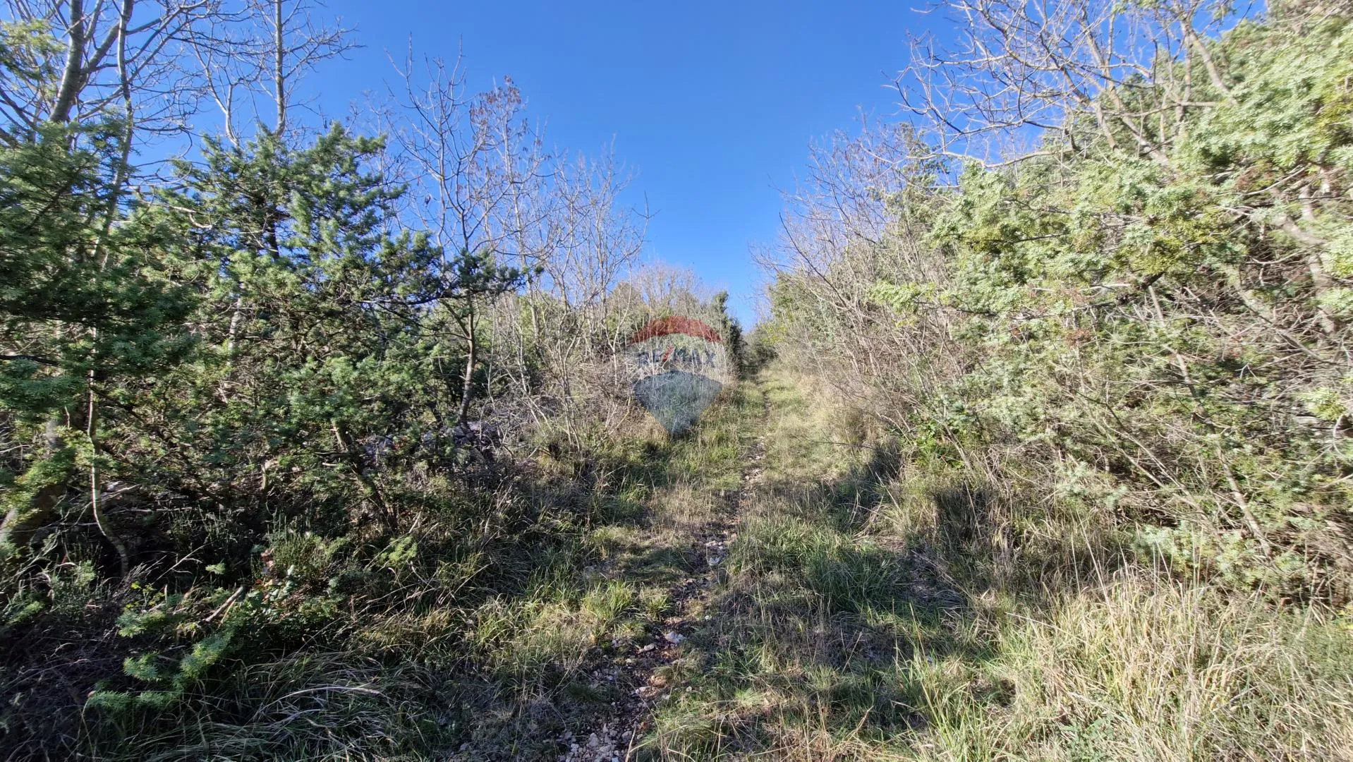 Istra, Rakalj- poljoprivredno zemljište 5523 m2 - cover