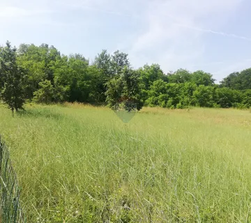 Poreč, Baderna, lijepo poljoprivredno zemljište  - cover