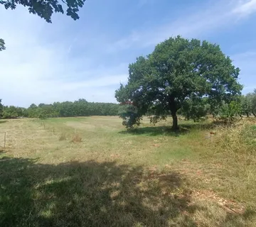 Sveti Lovreč, okolica, prekrasan građevinski teren - cover