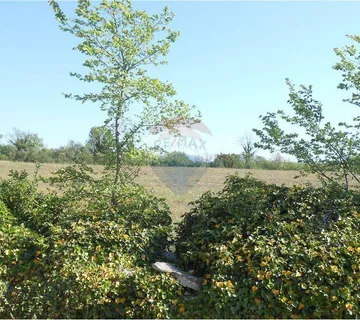 Istra, Marčana, građevinsko zemljište  - cover