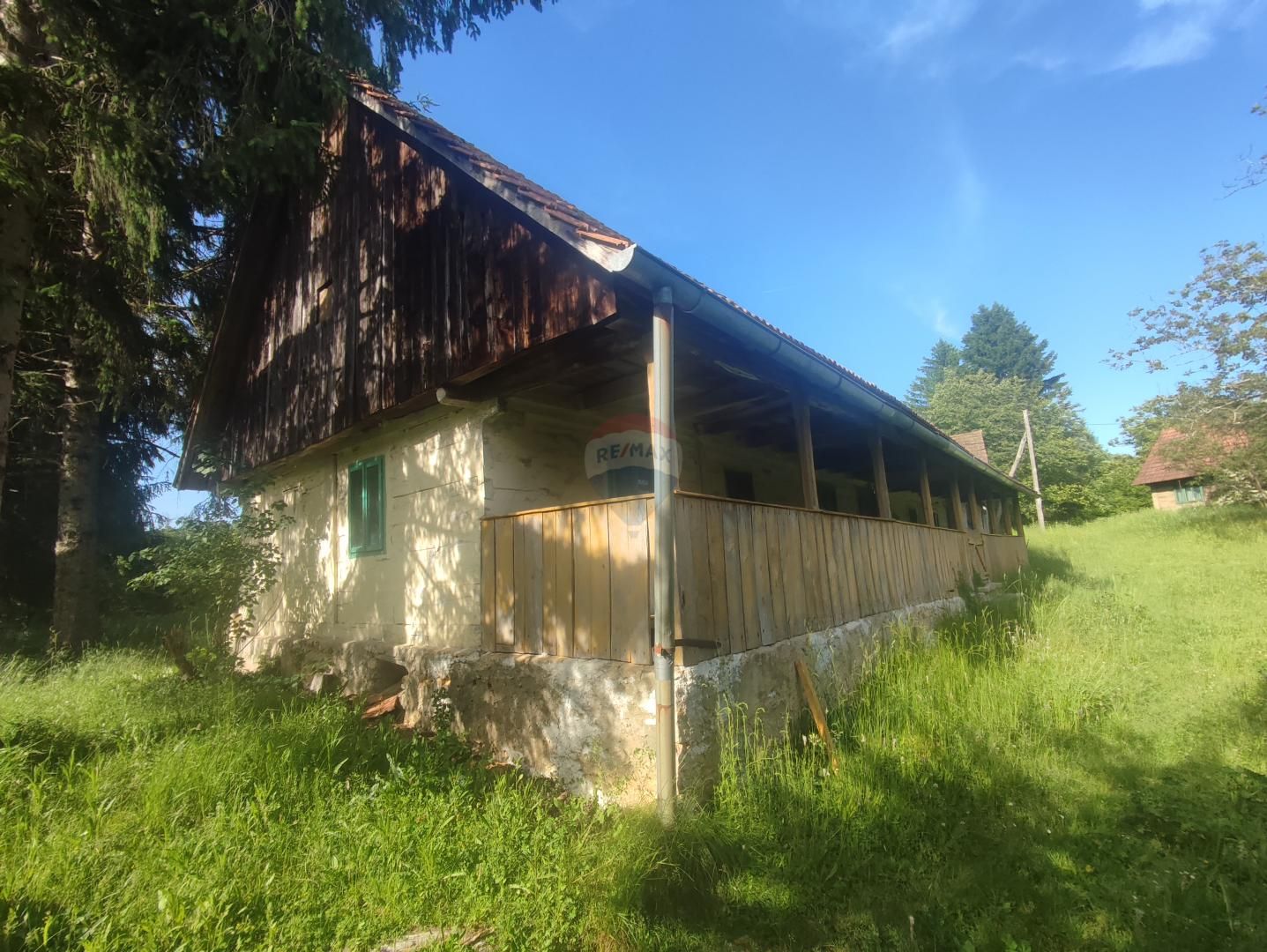 Fotografija
