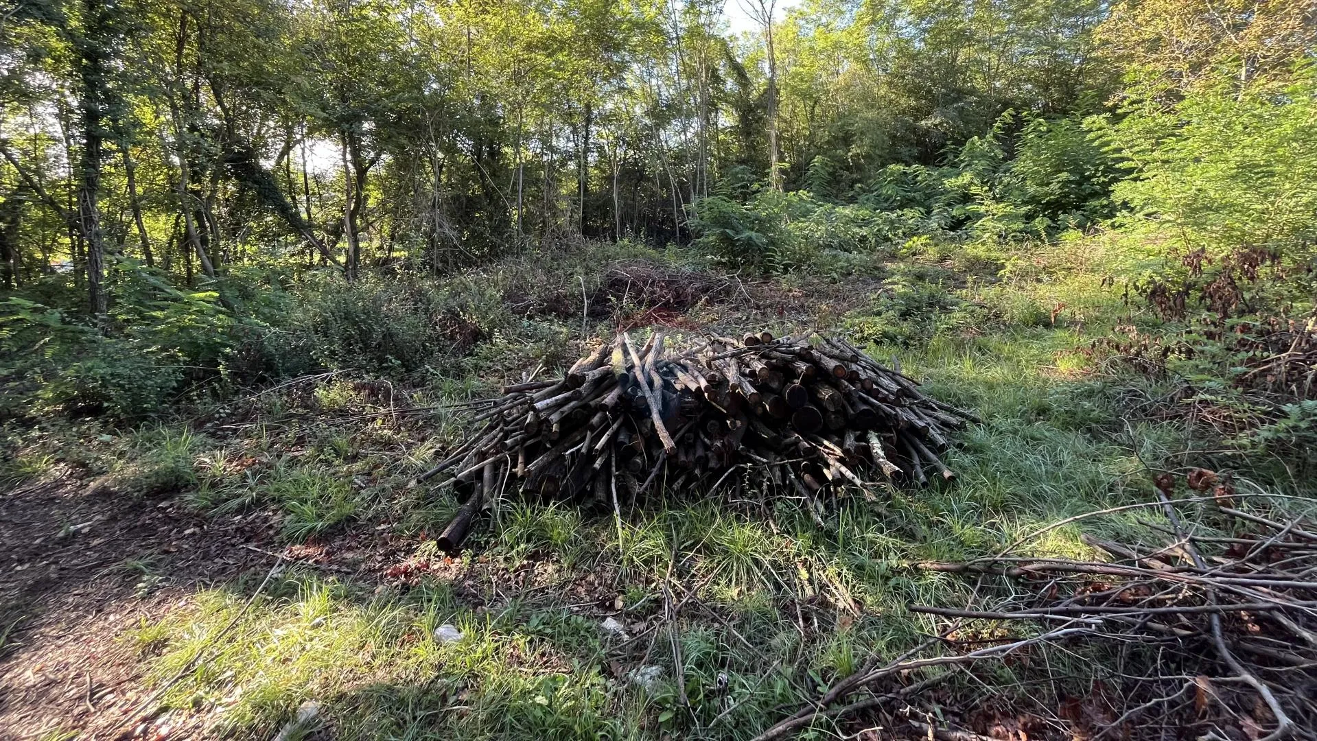 Istra, Karojba - građevinsko zemljište na rubu naselja - cover