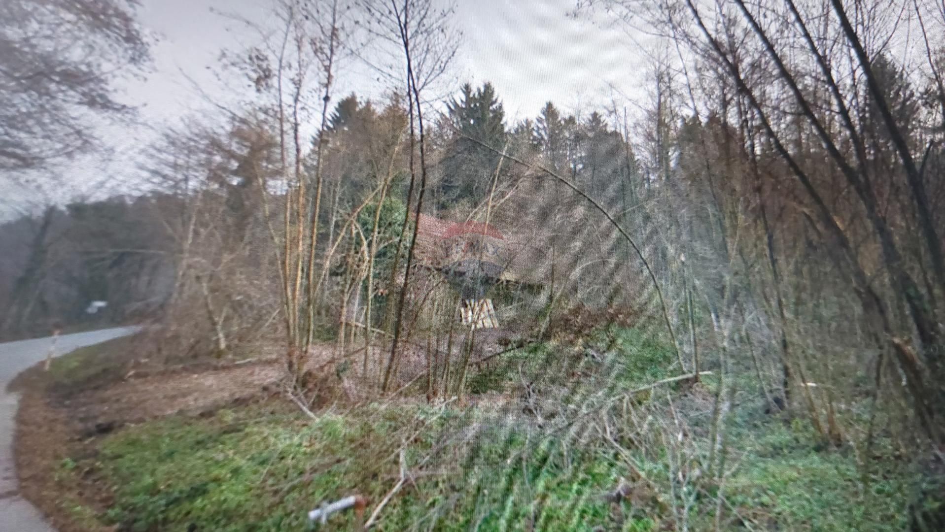 Fotografija