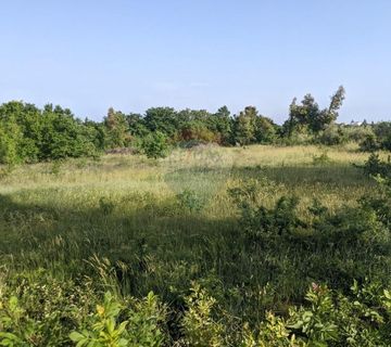 Istra, Marčana- 1 hektar poljoprivrednog zemljišta  - cover