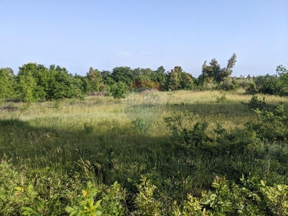 Fotografija