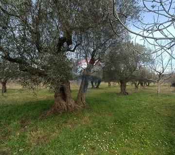 Rovinj, poljoprivredno zemljište s upisanom poljskom kućicom - cover