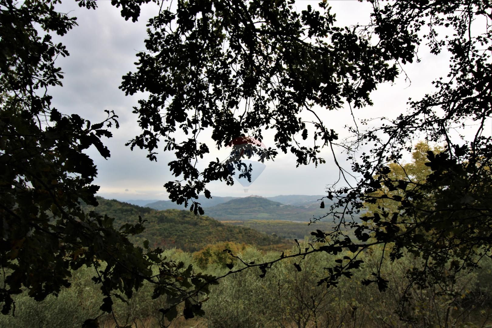 Fotografija