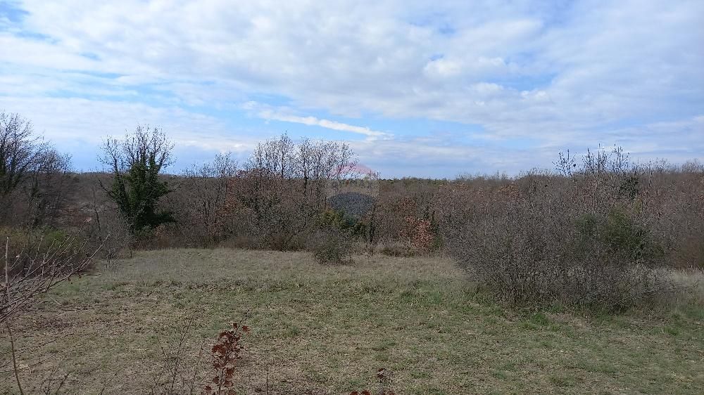 Fotografija