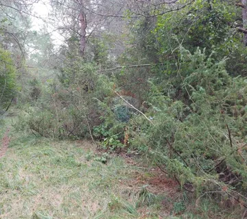 Šapjane - poljoprivredno zemljište - cover