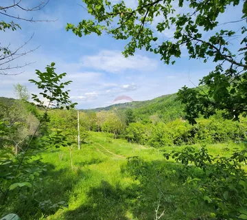 Istra, Sovinak, Sirotići - ne građevinsko zemljište 2,00 ha - cover