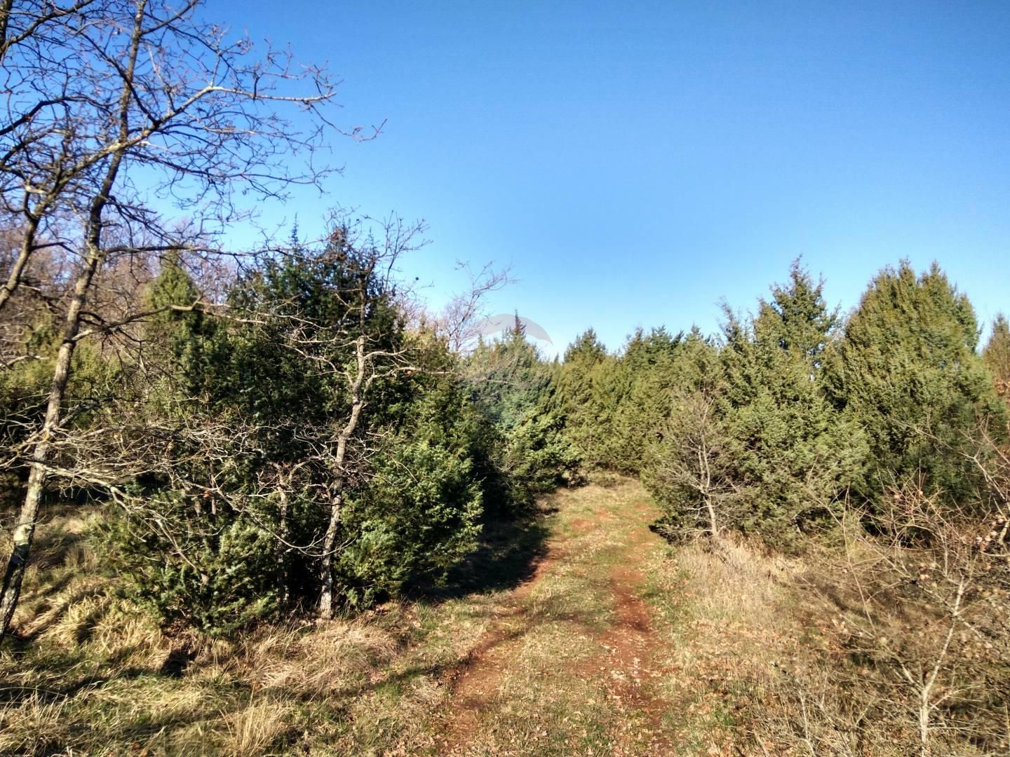 Fotografija