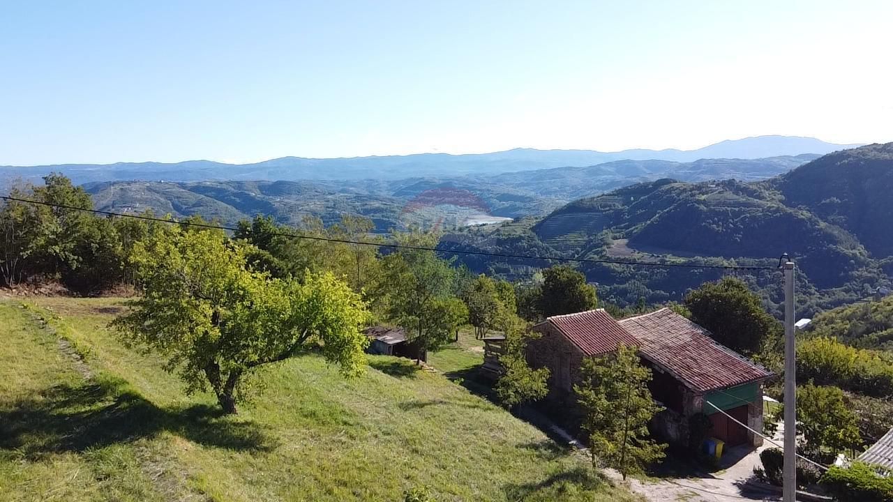 Fotografija