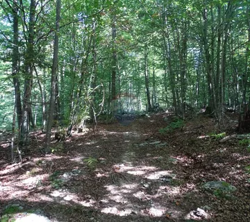 Razdrto-poljoprivredni teren - cover