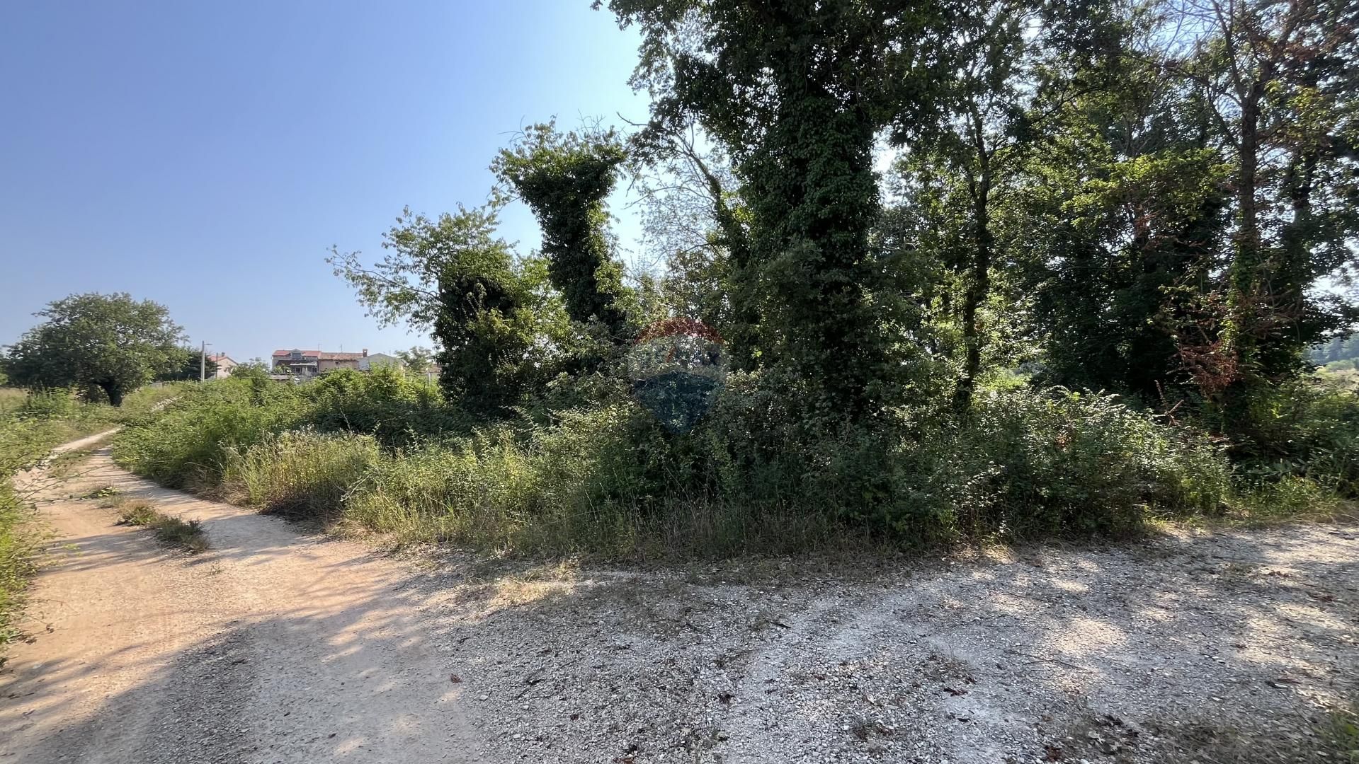 Fotografija