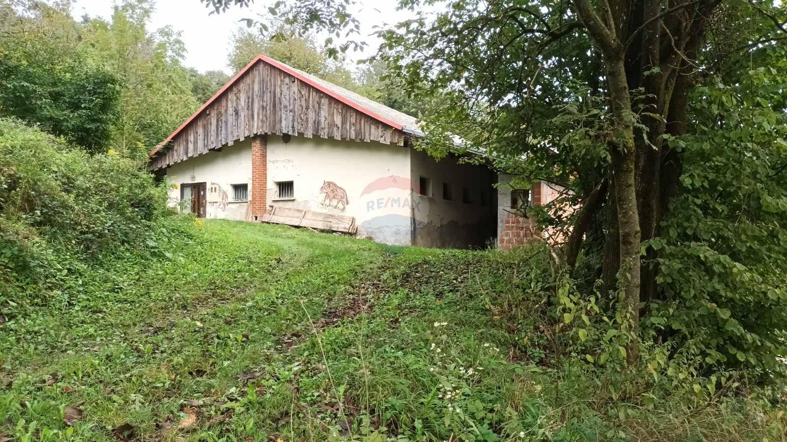 Fotografija