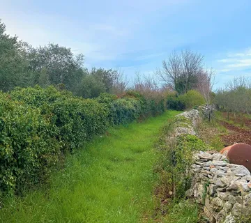 Poljoprivredno zemljište uz glavni put - cover