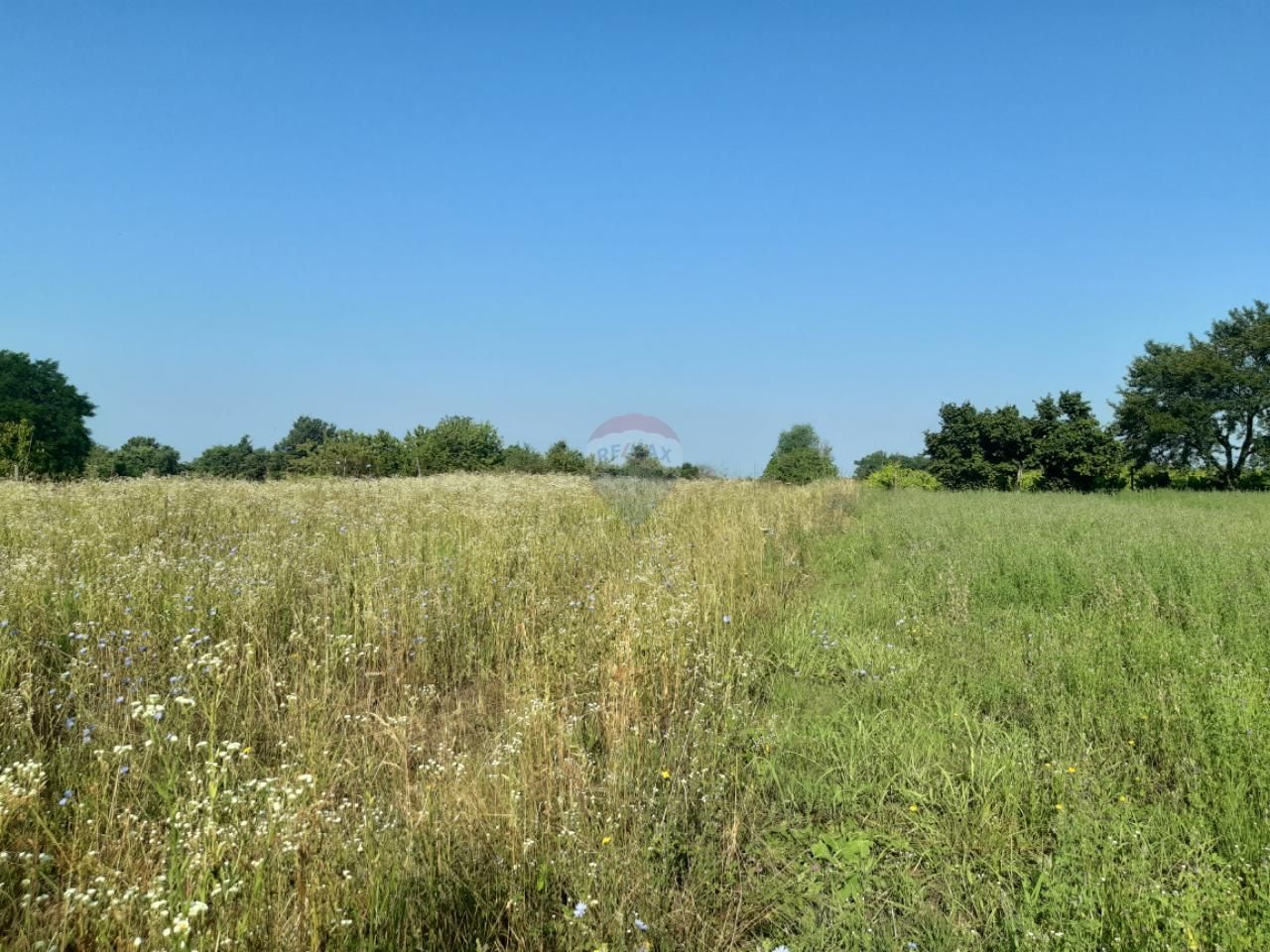 Fotografija