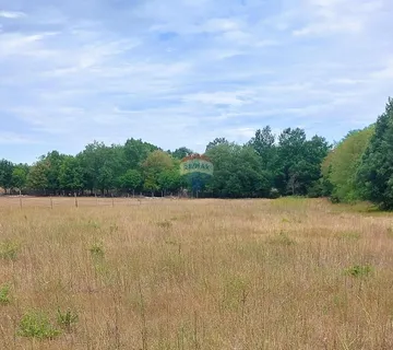 Poreč, okolica, lijepo poljoprivredno zemljište veličine 4815 m2 uz javni put - cover