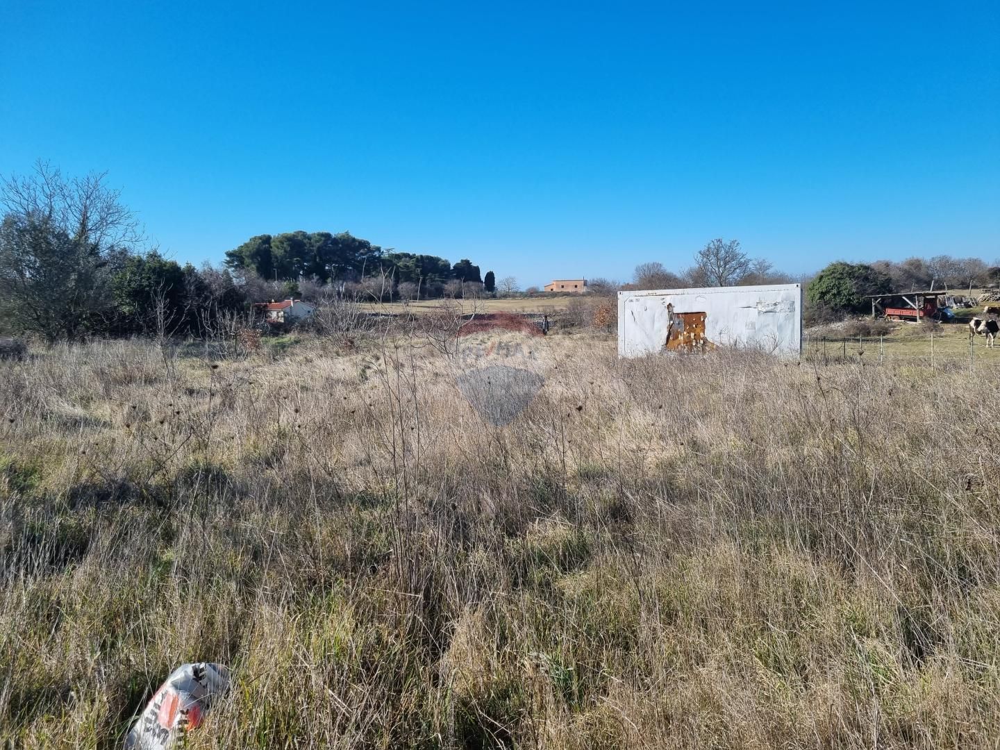 Fotografija