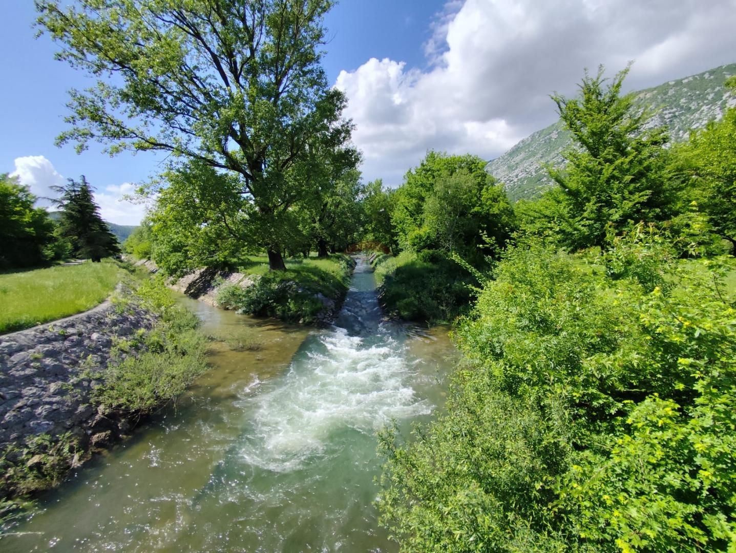 Fotografija