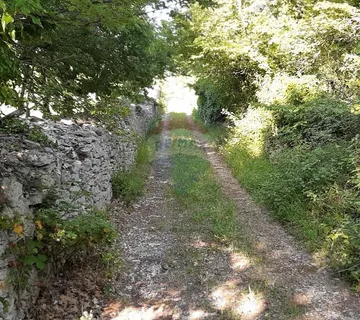 Istra, bliža okolica Vodnjana, velika parcela u prirodi - cover