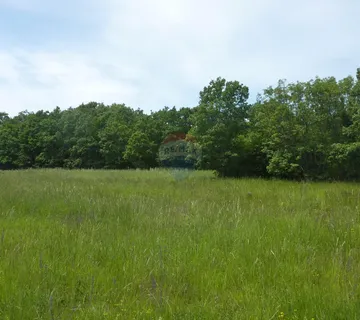 Povoljno poljoprivredno zemljište u Štifanićima - cover