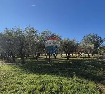Istra, Poreč - okolica, građevinsko zemljište za izgradnju kuće - cover
