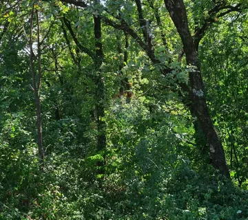 Matulji- građevinski  teren površine 1656 m2 - cover