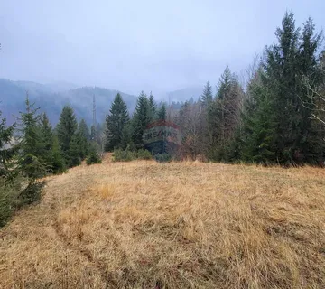 Gorski Kotar, Stari Laz - građevinski teren sa dozvolom i projektom  - cover