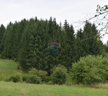 Gorski Kotar - Vrbovsko - cover