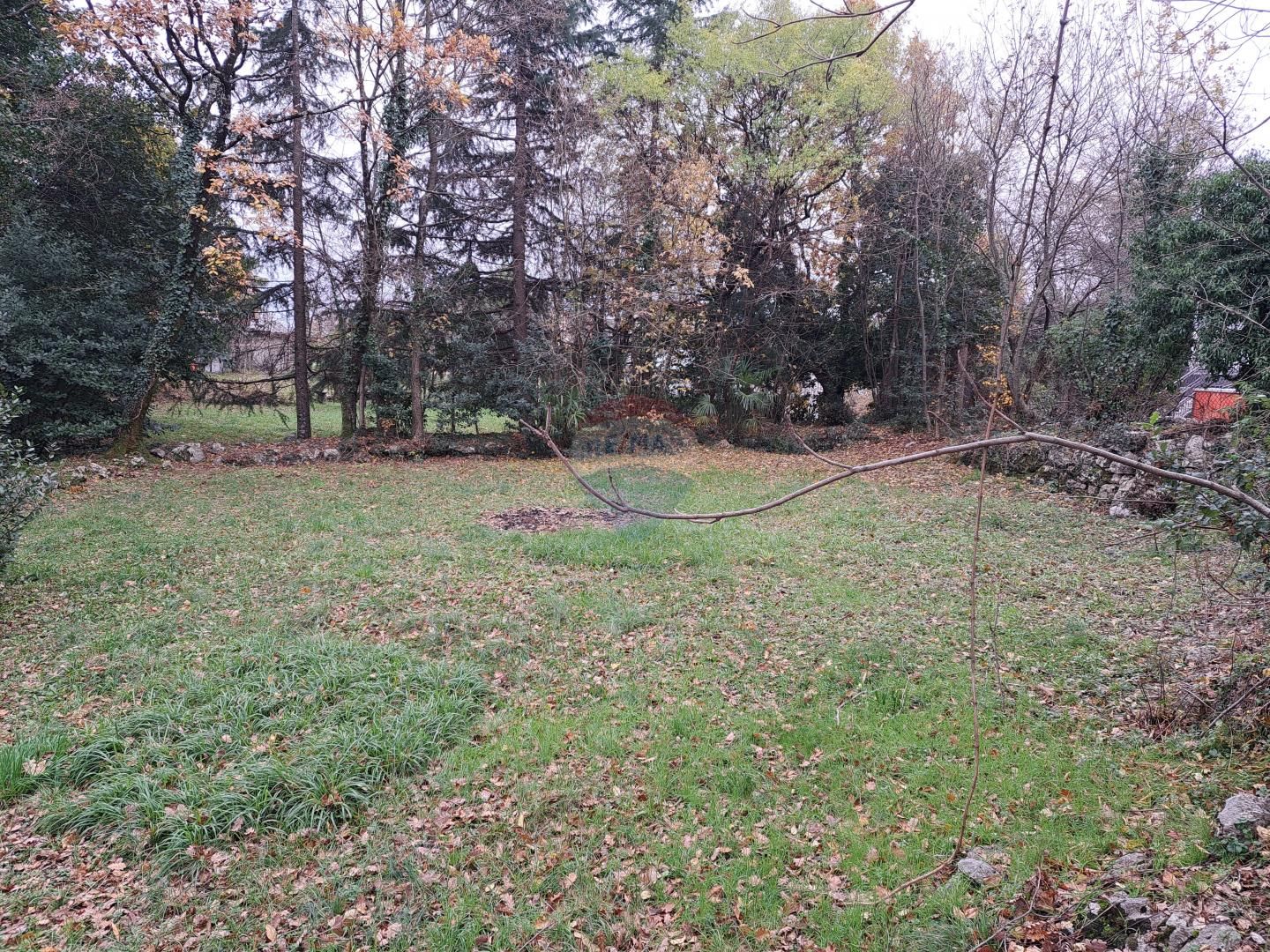 Fotografija