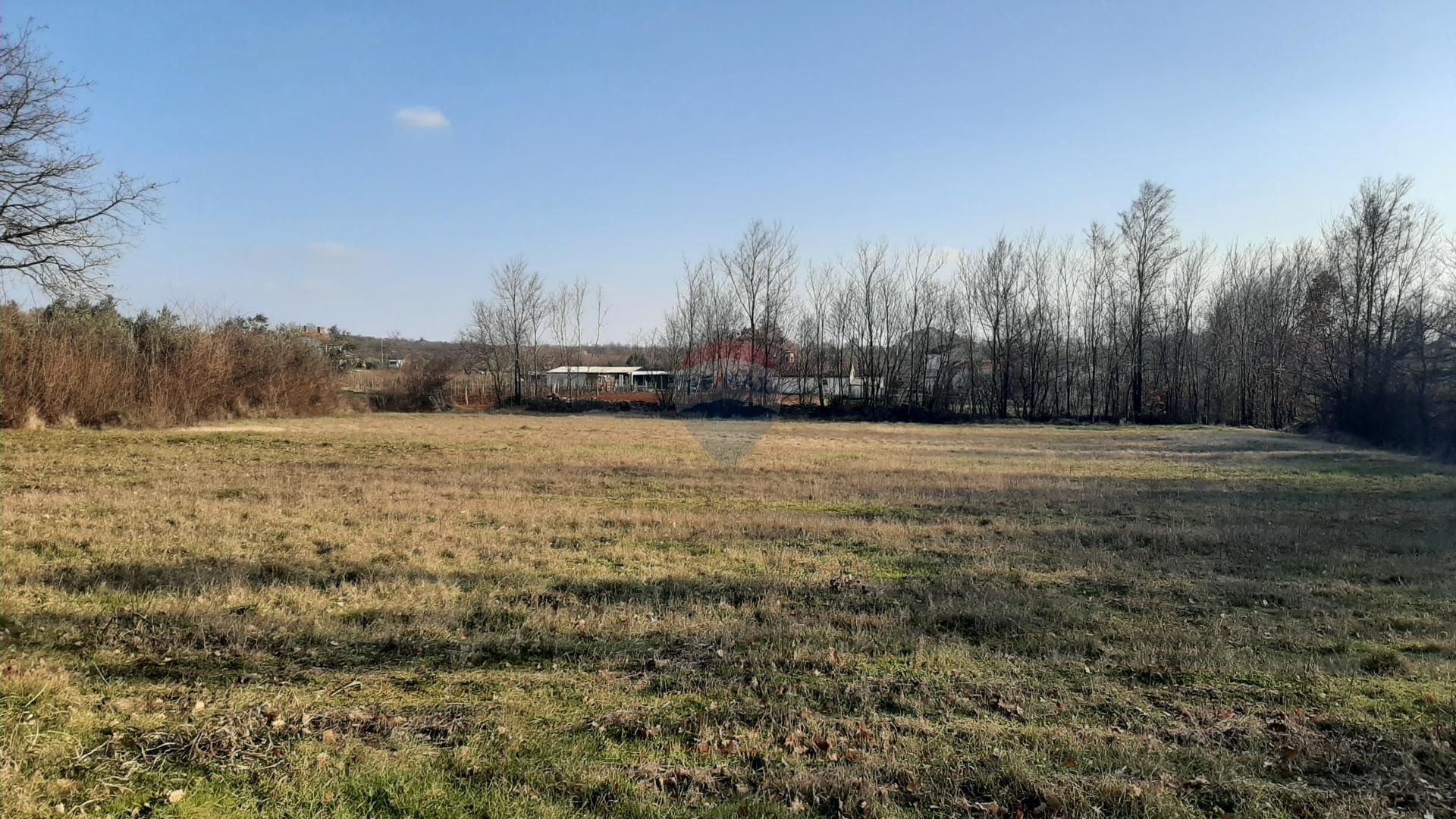 Fotografija