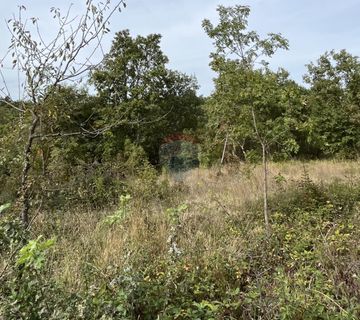 Baderna - okolica, poljoprivredno zemljište ukupne površine oko 21000m2 - cover