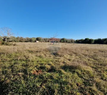 Istra, Rovinjsko Selo, poljoprivredno zemljište 27672m2 - cover