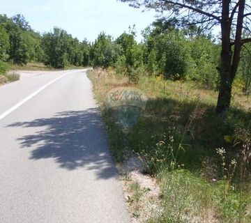 LIPA - zemljište 10.500 m2, uz Petrolejsku cestu - cover