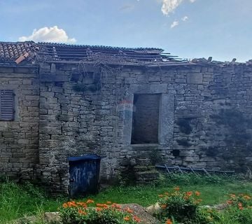 Istra, Momjan - autohtona starina - cover