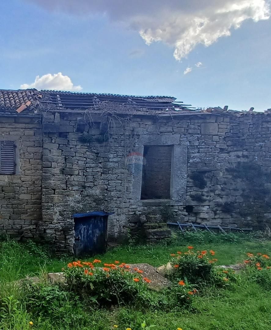 Fotografija