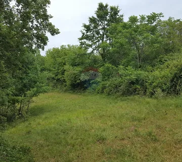 Istra.Žminj-1,5km,kombinacija građevinskog i poljoprivrednog zemljišta-13500m2 - cover