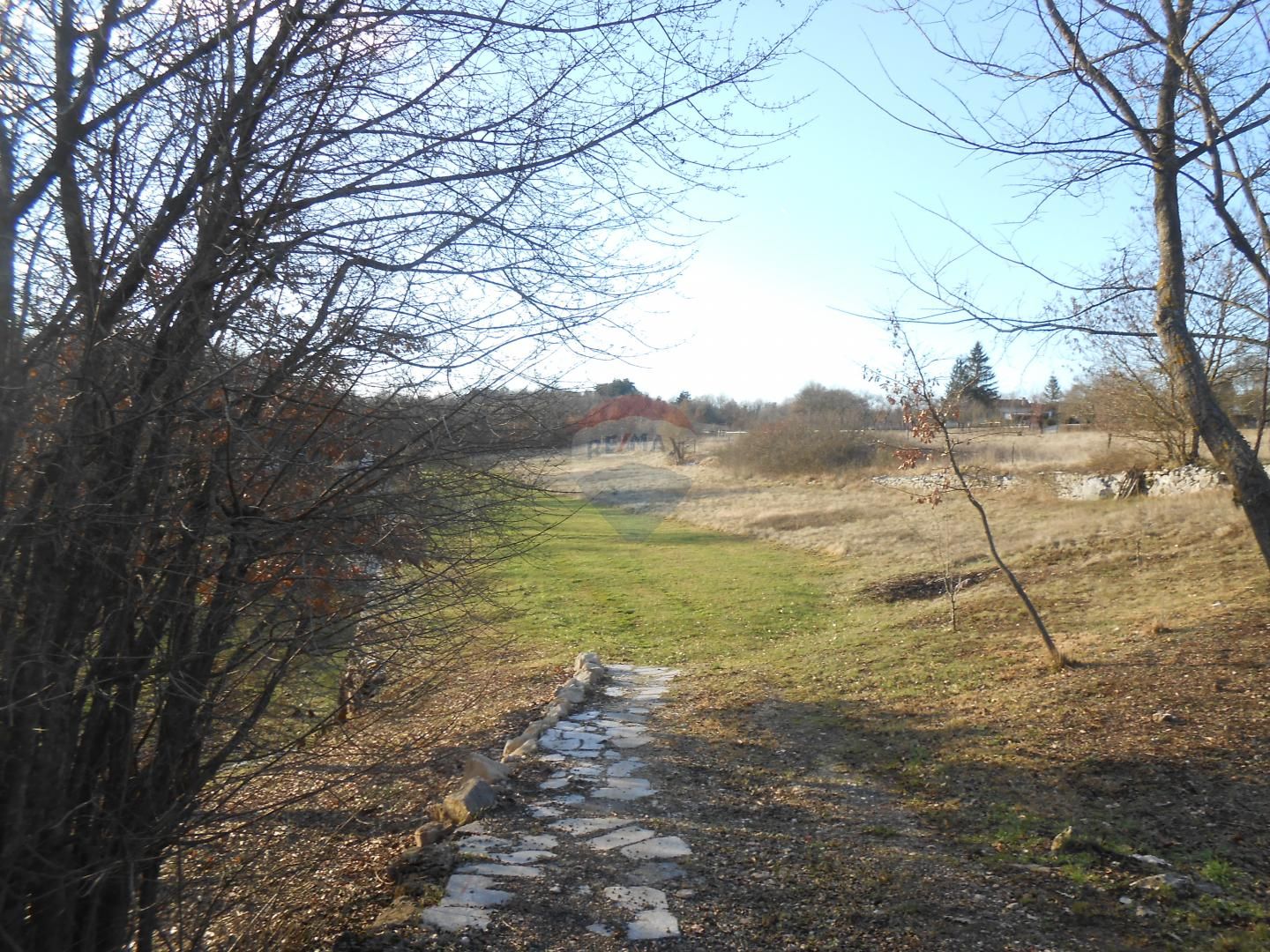 Fotografija