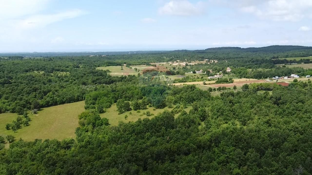 Fotografija