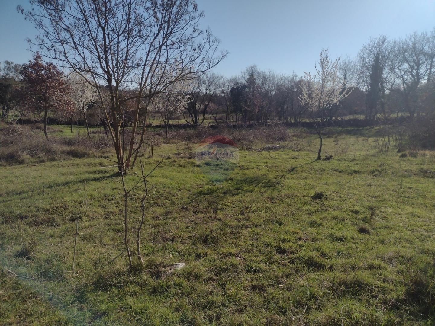 Fotografija