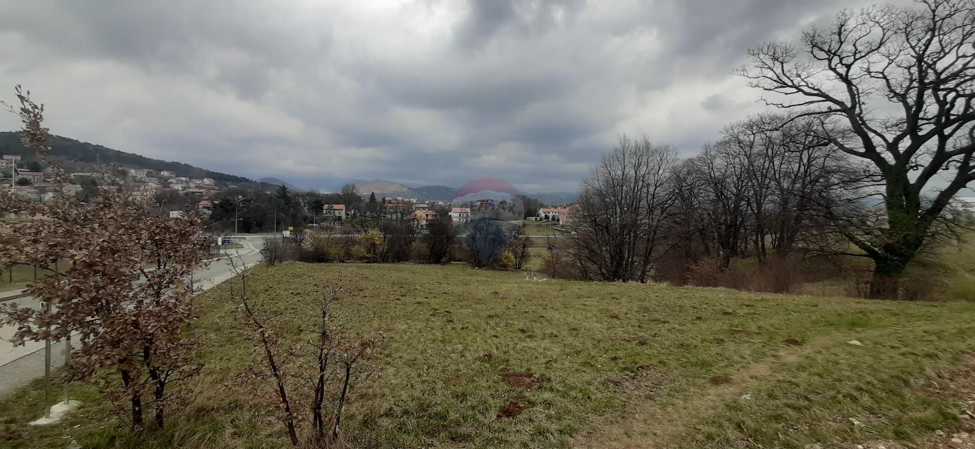 Fotografija