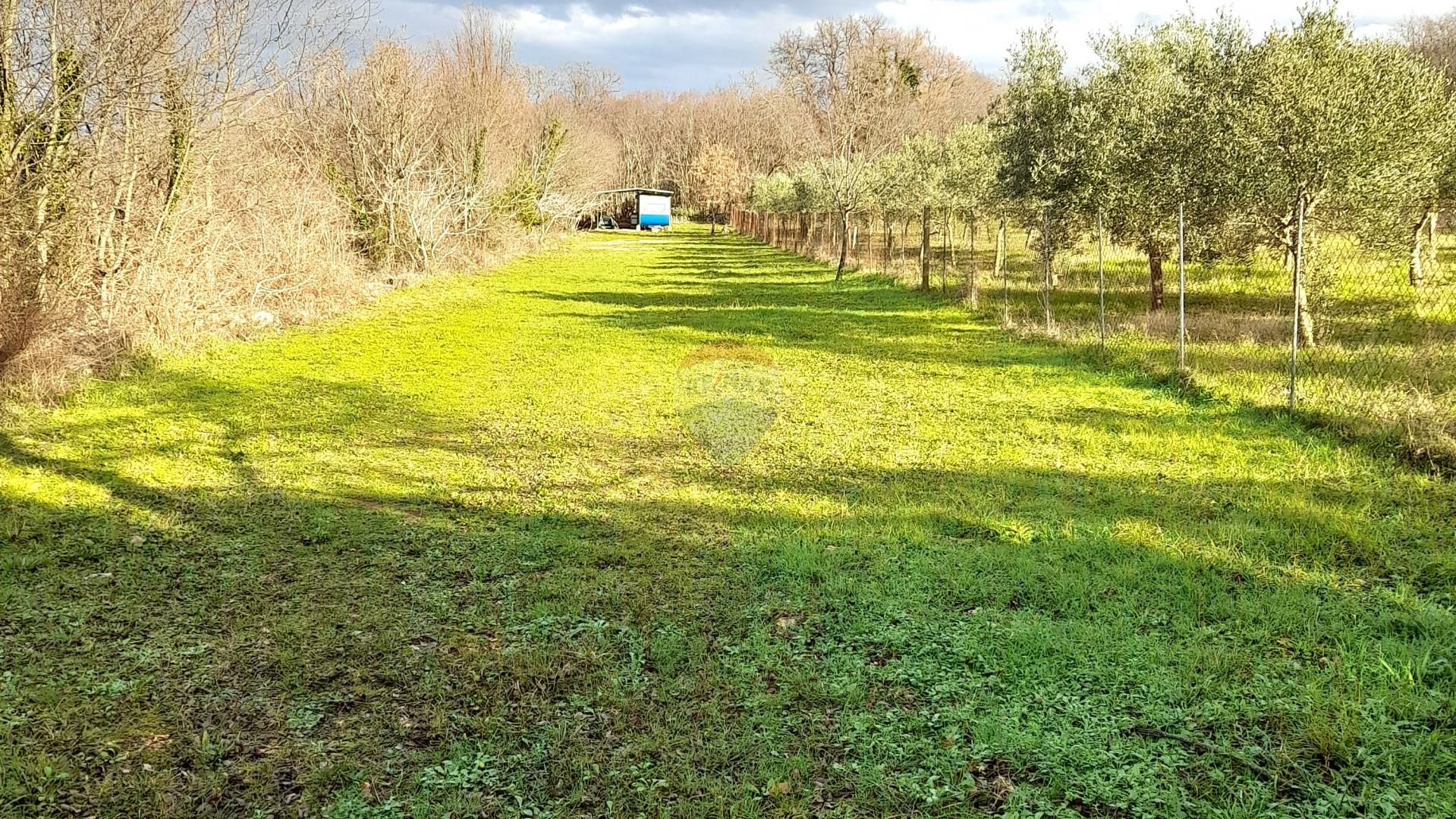 Fotografija